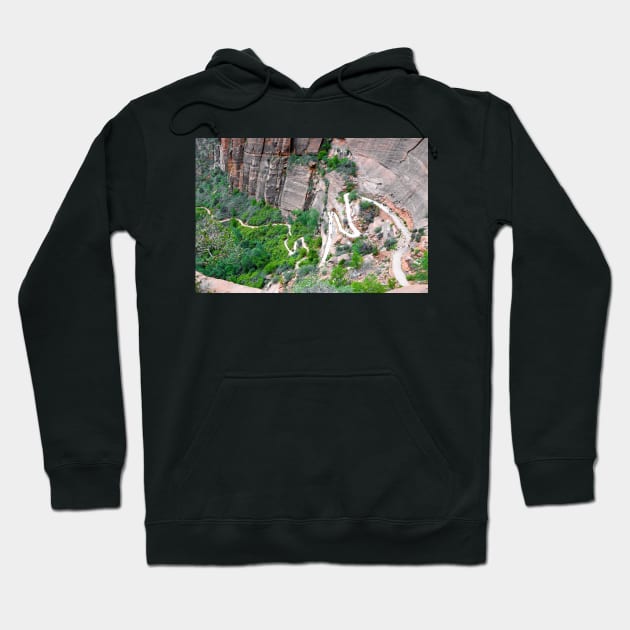 Downhill Switchbacks from Angels Landing Hoodie by bobmeyers